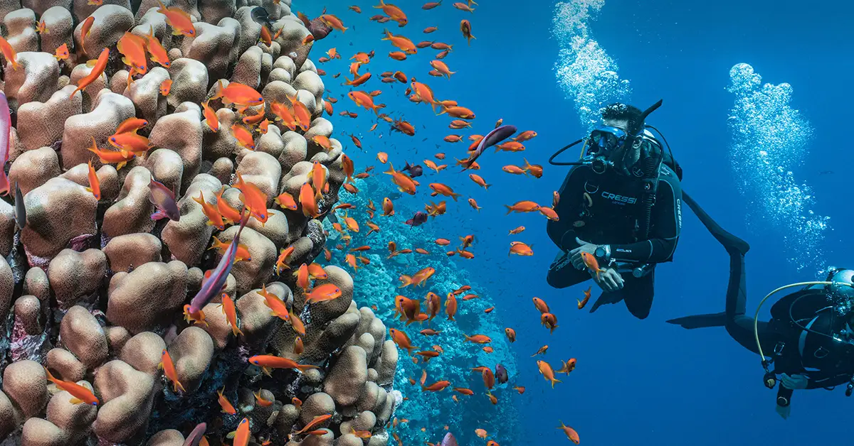 The ocean's frontline defenders
