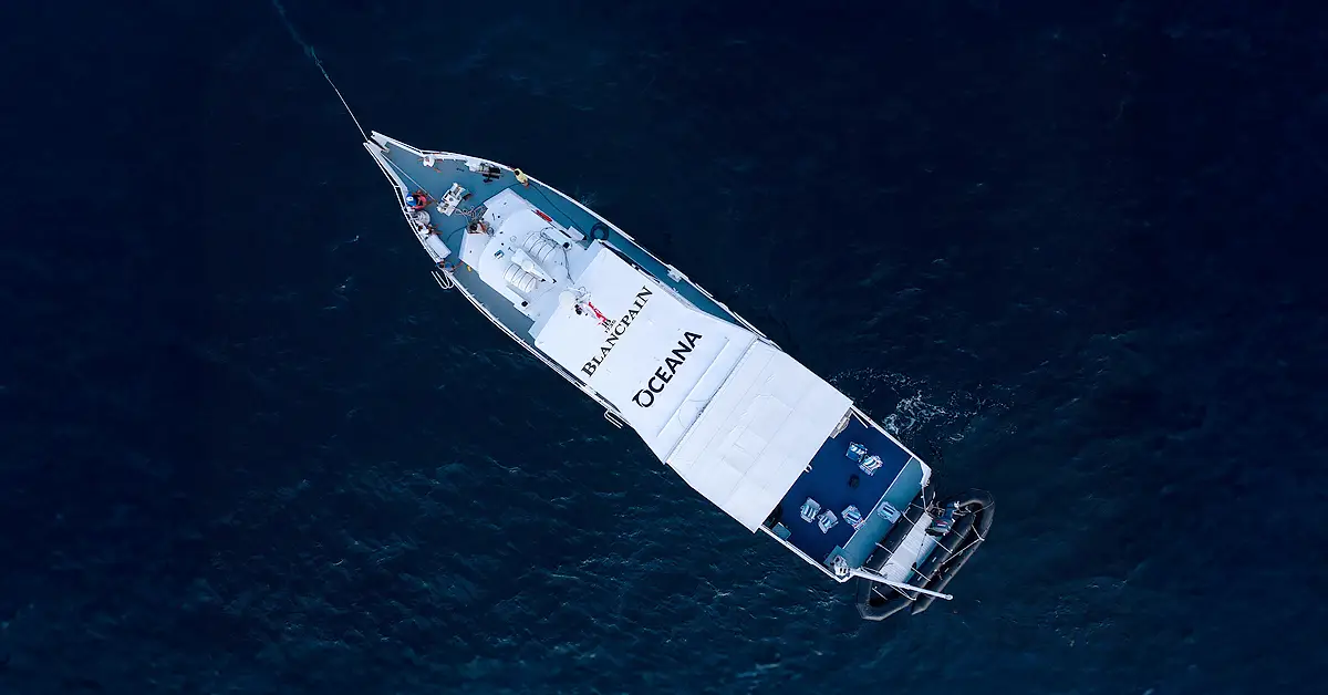 Mexico's marine conservation breakthrough